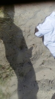 Ved nudist stranden